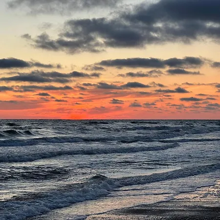 V4 In * Palanga